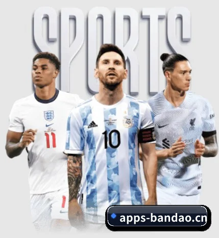 半岛体育app APP 界面